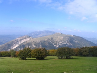 Casa per le vacanze Cartoceto Ambiente 21