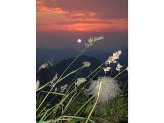 Appartamento per vacanze Schoppernau Ambiente 15