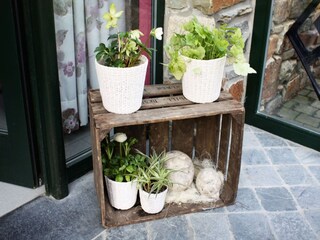 Holiday house Spa  34