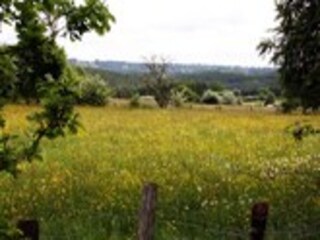 Vakantiehuis Robertville Omgeving 32