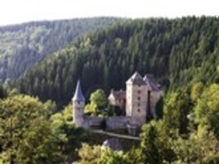 Vakantiehuis Robertville Omgeving 34