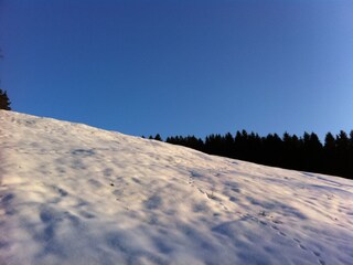 Ferienhaus Robertville Umgebung 25