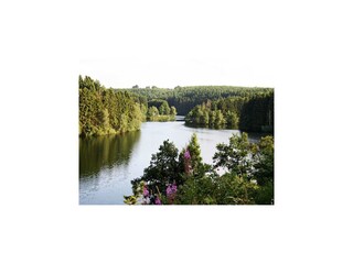 Vakantiehuis Robertville Omgeving 22