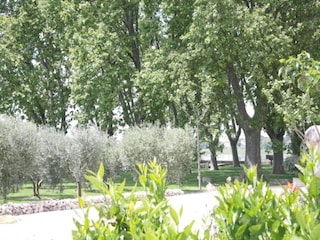 Holiday house Lierneux Environment 30