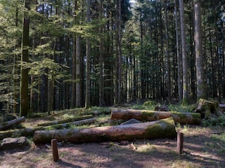Chalet Malmedy Umgebung 33