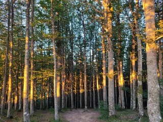 Chalet Malmedy Omgeving 29