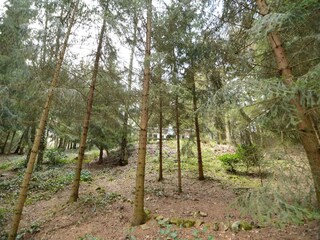 Chalet Maaseik Buitenaudio-opname 5