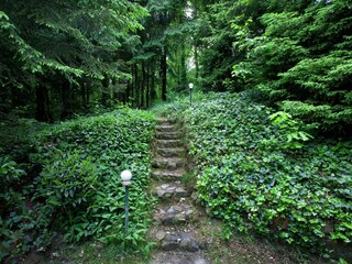 Chalet Maaseik Environment 33