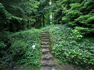 Chalet Maaseik Omgeving 25