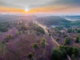Chalet Maaseik Umgebung 29