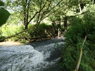 Vakantiehuisje Havelange Omgeving 26