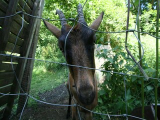 Maison de vacances Havelange Environnement 23