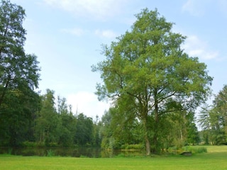 Cottage Havelange Umgebung 28