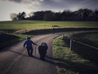 Cottage Havelange Umgebung 30