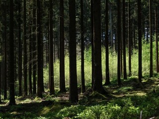 Holiday house Burg-Reuland Environment 30