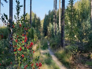 Casa per le vacanze Verviers Ambiente 30