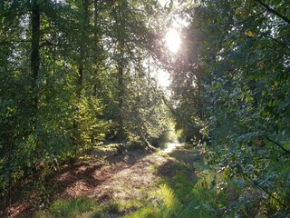 Maison de vacances Verviers Environnement 32