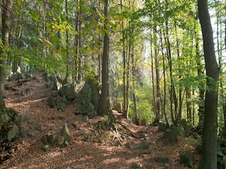 Maison de vacances Verviers Environnement 28