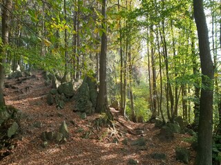 Vakantiehuis Verviers Omgeving 33