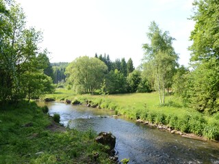 Ferienhaus Waimes Umgebung 31