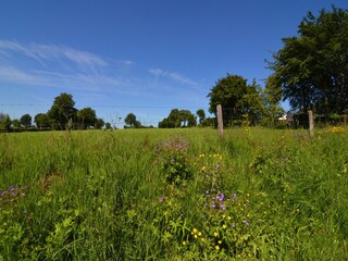 Vakantiehuis Robertville Omgeving 36