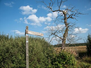 Casa vacanze Robertville Ambiente 38