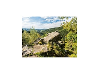 Chalet Malmedy Environment 38