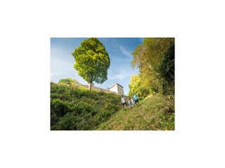 Chalet Malmedy Omgeving 49
