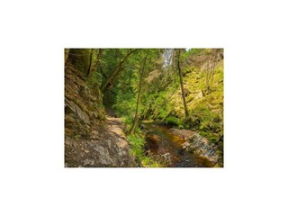 Chalet Malmedy Ambiente 43