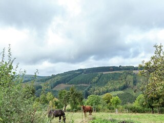 Vakantiehuisje Stavelot Omgeving 21