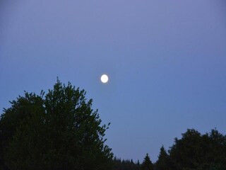 Maison de vacances Stavelot Environnement 33