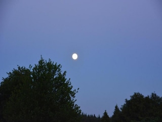 Vakantiehuisje Stavelot Omgeving 32