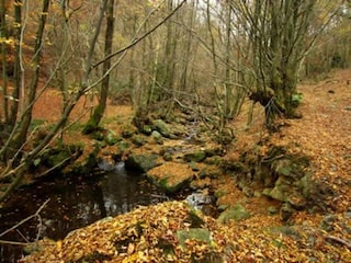 Ferienhaus Stoumont Umgebung 32