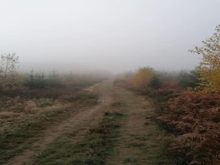 Ferienhaus Stoumont Umgebung 31