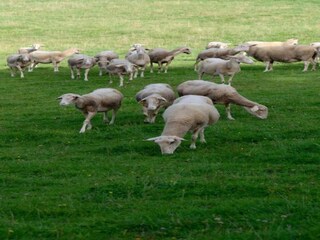 Ferienhaus Stoumont Umgebung 33