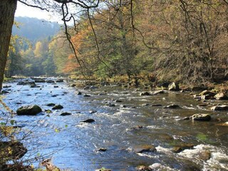 Ferienhaus Stoumont Umgebung 38