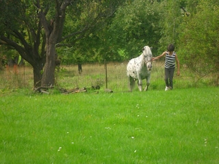 Holiday house Doische Environment 37