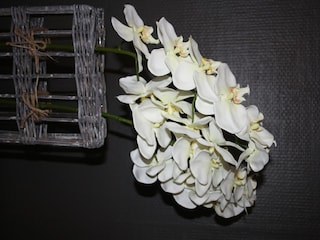 Ferienhaus Doische  40