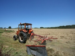 Maison de vacances Bastogne Environnement 33