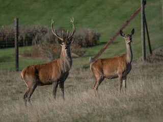 Ferienhaus Houffalize Umgebung 36