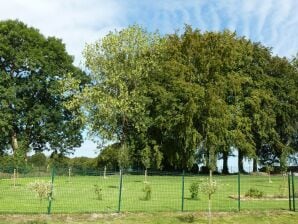 Wunderschönes Ferienhaus mit eingezäuntem Garten in Rondu - Sainte-Ode - image1