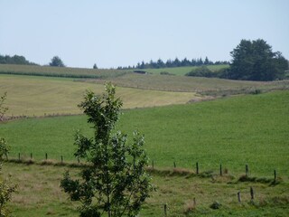 Casa per le vacanze Sainte-Ode Ambiente 33