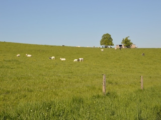 Ferienhaus Sainte-Ode Umgebung 31