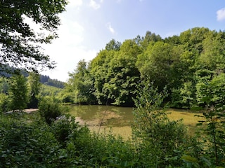 Chalet Bouillon Omgeving 28