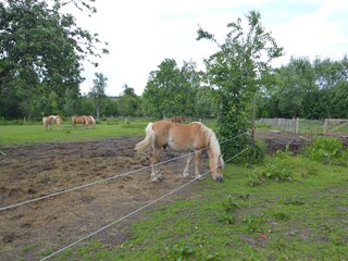 Casa vacanze Paliseul Registrazione all'aperto 5