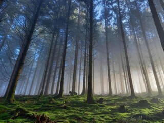 Casa vacanze Paliseul Ambiente 32