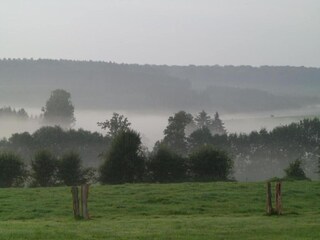 Casa de vacaciones Paliseul Entorno 28