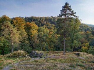 Cottage Paliseul Umgebung 30