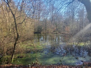 Holiday cottage Paliseul Environment 26