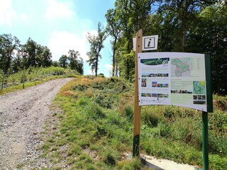 Vakantiehuisje Herbeumont Omgeving 27